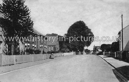 The Street, Weeley, Essex. c.1905.